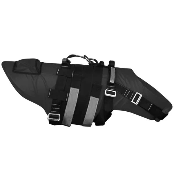 DELPHINUS - Image 11