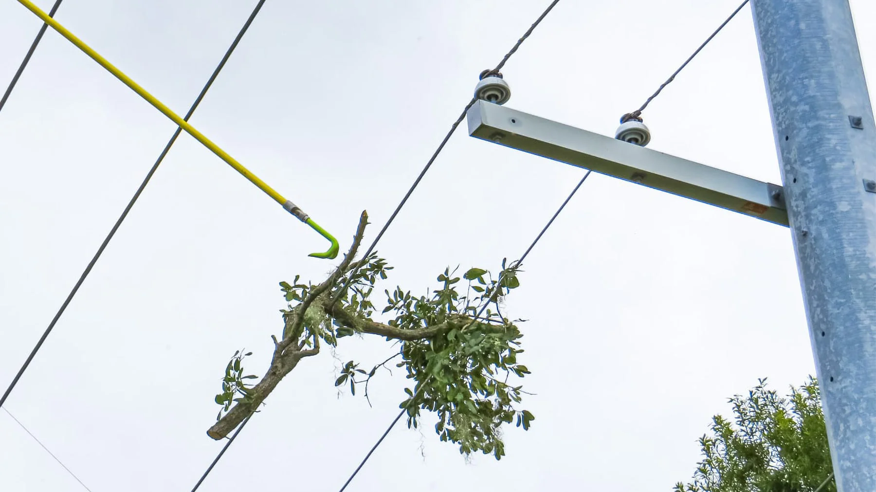 DeViner™ Vegetation Removal Tool - Image 11