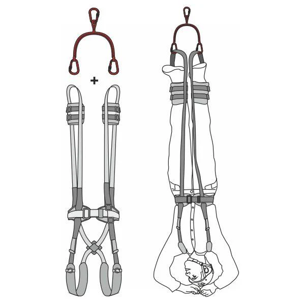 DIAPASON - Image 7