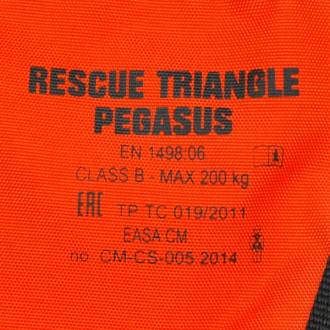 PEGASUS - Image 5