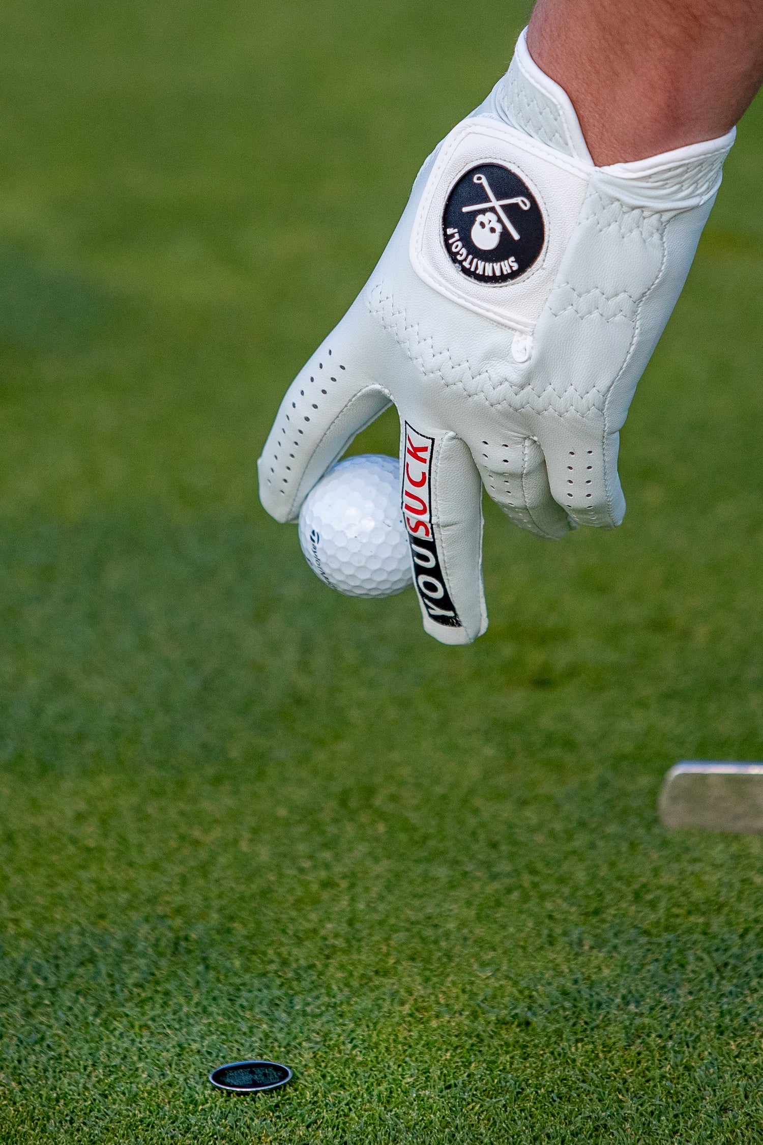 You Suck Golf Glove - Image 3